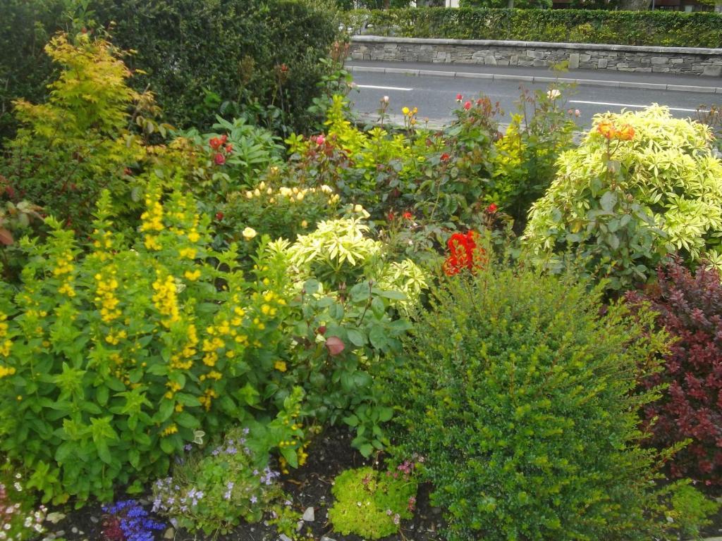 웨스트포트 Quay West Ireland B&B 외부 사진